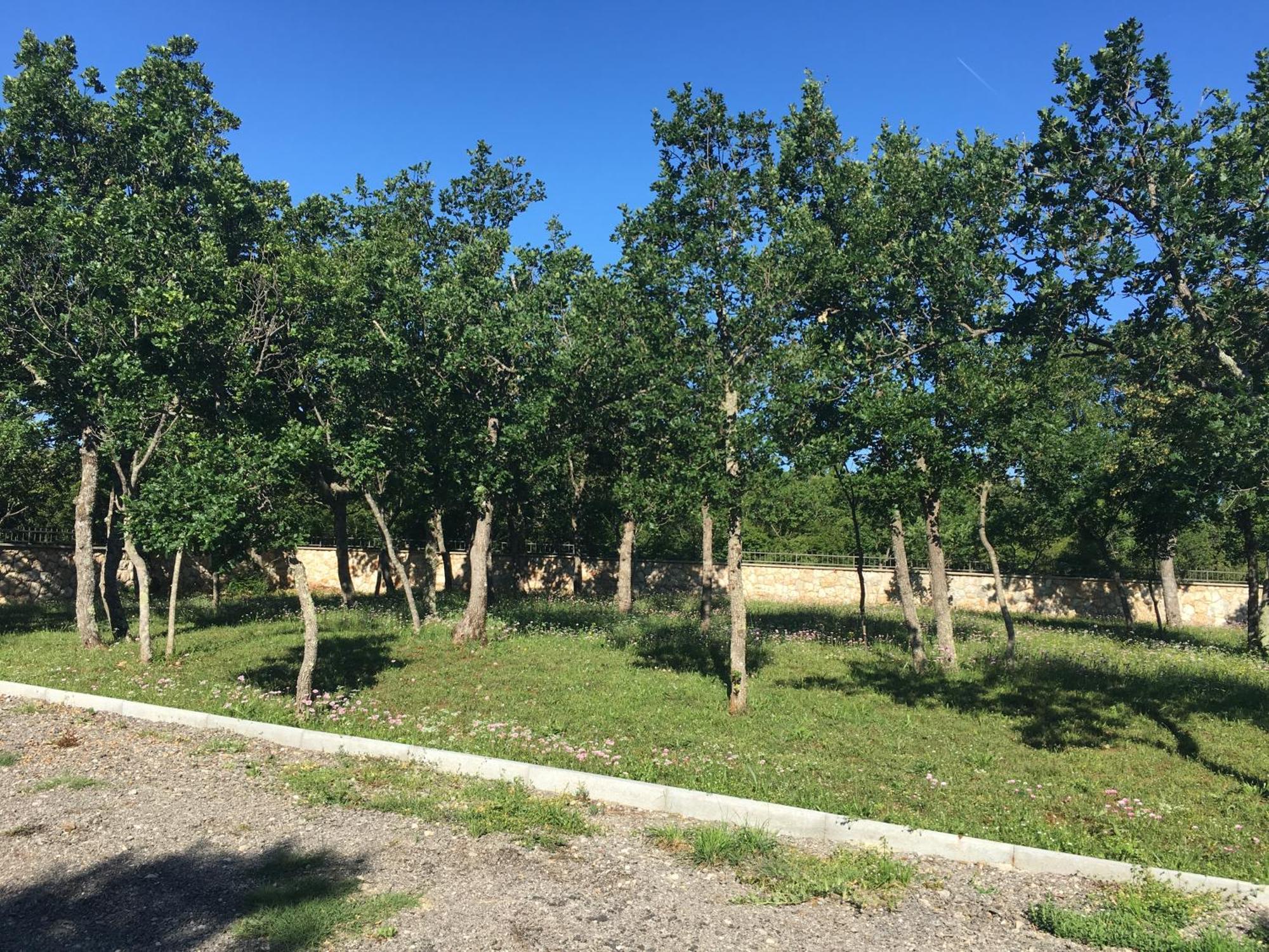Micanovi Dvori Mobile Home Village Zrmanja Обровац Экстерьер фото